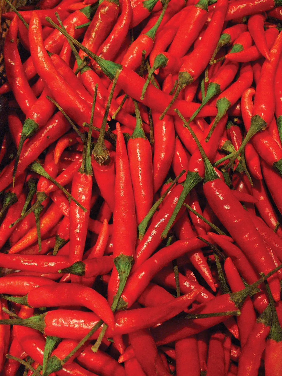 A bowl of fresh bird&rsquo;s eye chillies